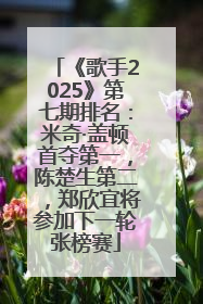 《歌手2025》第七期排名：米奇·盖顿首夺第一，陈楚生第二，郑欣宜将参加下一轮张榜赛