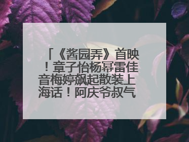 《酱园弄》首映！章子怡杨幂雷佳音梅婷飙起散装上海话！阿庆爷叔气氛组！独独没见他……