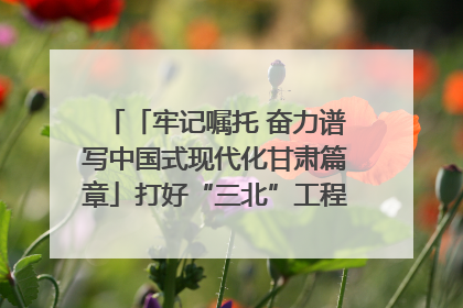 「牢记嘱托 奋力谱写中国式现代化甘肃篇章」打好“三北”工程攻坚战 筑牢国家西部生态安全屏障