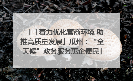 「着力优化营商环境 助推高质量发展」瓜州：“全天候”政务服务惠企便民