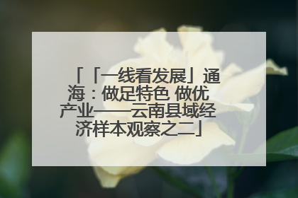 「一线看发展」通海：做足特色 做优产业——云南县域经济样本观察之二