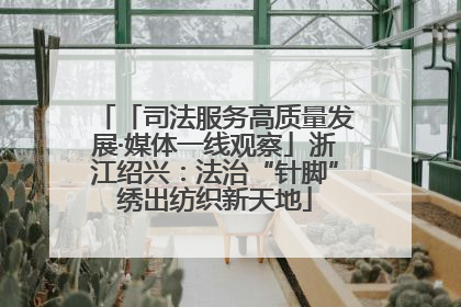 「司法服务高质量发展·媒体一线观察」浙江绍兴：法治“针脚”绣出纺织新天地