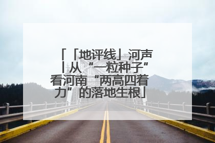 「地评线」河声丨从“一粒种子”看河南“两高四着力”的落地生根
