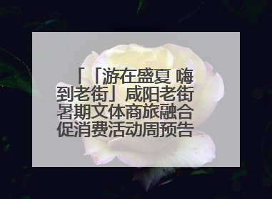 「游在盛夏 嗨到老街」咸阳老街暑期文体商旅融合促消费活动周预告来了！