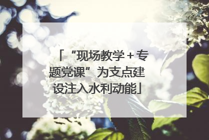 “现场教学＋专题党课”为支点建设注入水利动能