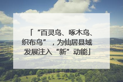 “百灵鸟、啄木鸟、织布鸟”，为仙居县域发展注入“新”动能