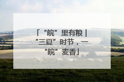 “皖”里有粮｜“三夏”时节，一“皖”麦香