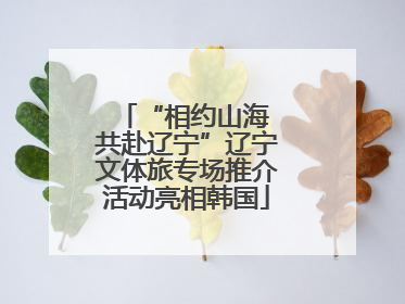 “相约山海 共赴辽宁”辽宁文体旅专场推介活动亮相韩国