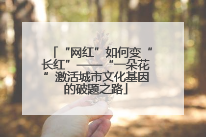 “网红”如何变“长红”——“一朵花”激活城市文化基因的破题之路