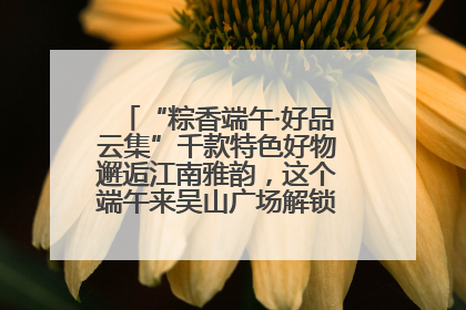 “粽香端午·好品云集”千款特色好物邂逅江南雅韵，这个端午来吴山广场解锁“浙里烟火气”