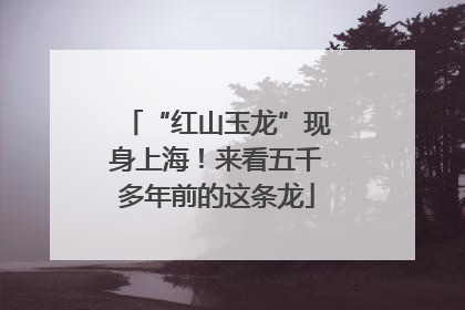 “红山玉龙”现身上海！来看五千多年前的这条龙