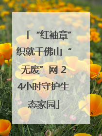 “红袖章”织就千佛山“无废”网 24小时守护生态家园