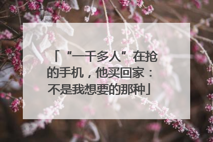 “一千多人”在抢的手机，他买回家：不是我想要的那种