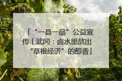 “一县一品”公益宣传丨武冈：卤水里熬出“草根经济”的醇香