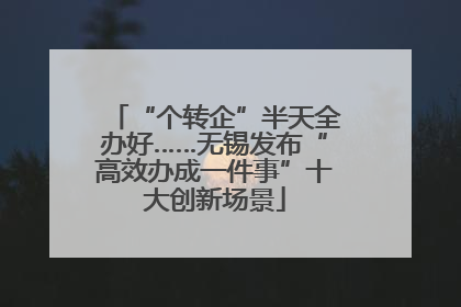 “个转企”半天全办好……无锡发布“高效办成一件事”十大创新场景