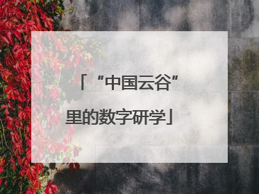 “中国云谷”里的数字研学