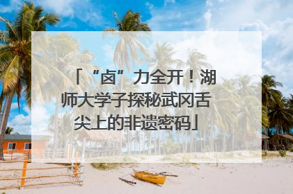 “卤”力全开！湖师大学子探秘武冈舌尖上的非遗密码