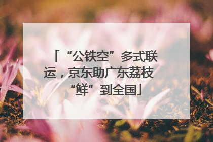 “公铁空”多式联运，京东助广东荔枝“鲜”到全国
