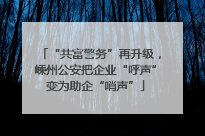“共富警务”再升级，嵊州公安把企业“呼声”变为助企“哨声”