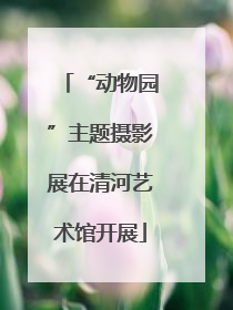 “动物园”主题摄影展在清河艺术馆开展