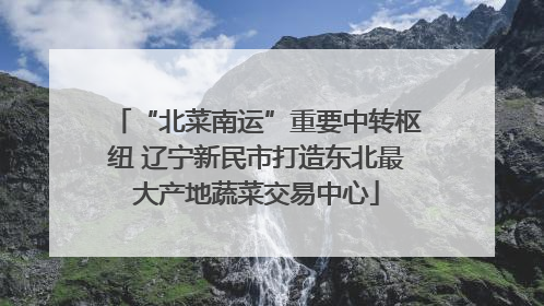 “北菜南运”重要中转枢纽 辽宁新民市打造东北最大产地蔬菜交易中心