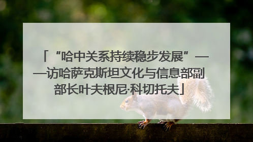 “哈中关系持续稳步发展”——访哈萨克斯坦文化与信息部副部长叶夫根尼·科切托夫