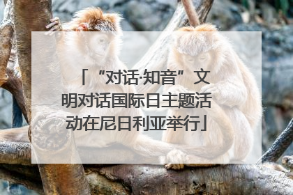 “对话·知音”文明对话国际日主题活动在尼日利亚举行