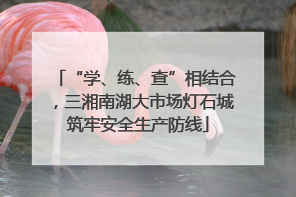 “学、练、查”相结合，三湘南湖大市场灯石城筑牢安全生产防线