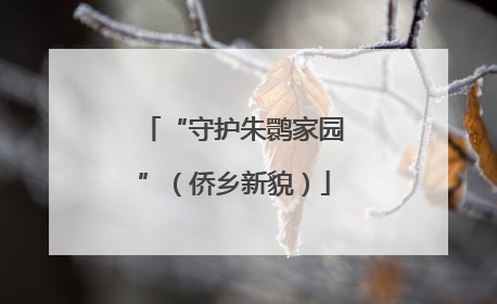 “守护朱鹮家园”（侨乡新貌）