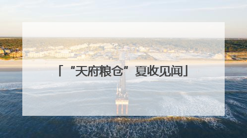 “天府粮仓”夏收见闻