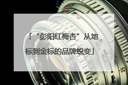 “彭阳红梅杏”从地标到金标的品牌蜕变