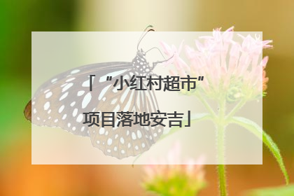 “小红村超市”项目落地安吉