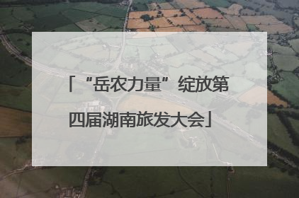 “岳农力量”绽放第四届湖南旅发大会