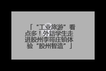“工业旅游”看点多！外籍学生走进胶州李哥庄镇体验“胶州智造”