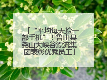 “平均每天捡一部手机”！鲁山县尧山大峡谷漂流集团表彰优秀员工