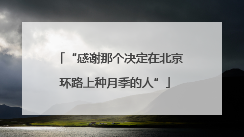 “感谢那个决定在北京环路上种月季的人”