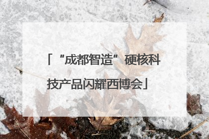 “成都智造”硬核科技产品闪耀西博会