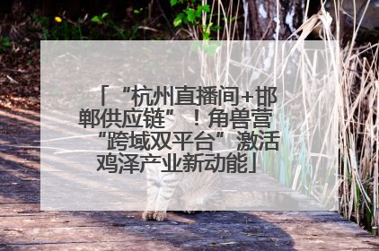 “杭州直播间+邯郸供应链”！角兽营“跨域双平台”激活鸡泽产业新动能