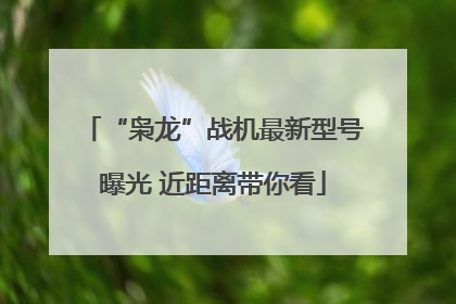 “枭龙”战机最新型号曝光 近距离带你看