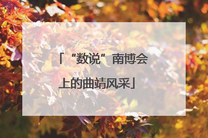 “数说”南博会上的曲靖风采