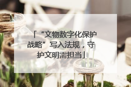 “文物数字化保护战略”写入法规，守护文明需担当