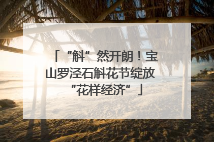“斛”然开朗！宝山罗泾石斛花节绽放“花样经济”