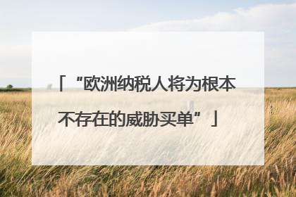 “欧洲纳税人将为根本不存在的威胁买单”