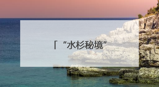 “水杉秘境”成鹭鸟家园