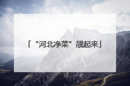 “河北净菜”靓起来
