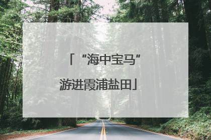 “海中宝马”游进霞浦盐田