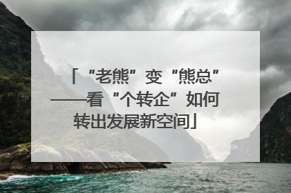 “老熊”变“熊总”——看“个转企”如何转出发展新空间