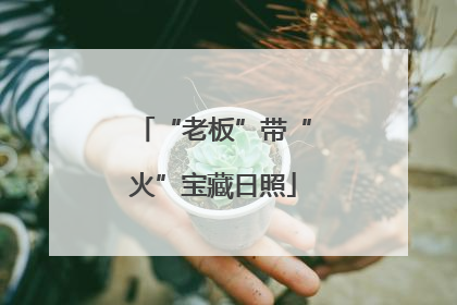 “老板”带“火”宝藏日照