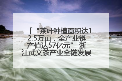 “茶叶种植面积达12.5万亩，全产业链产值达57亿元” 浙江武义茶产业全链发展“加速度”