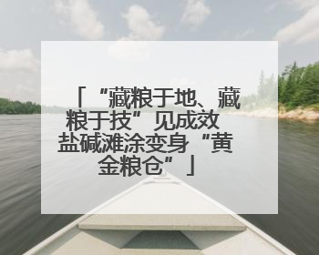 “藏粮于地、藏粮于技”见成效 盐碱滩涂变身“黄金粮仓”